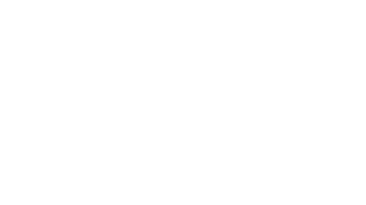 Project Servator Logo